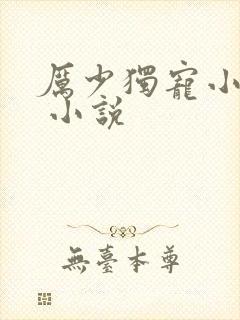 厉少独宠小娇妻 小说