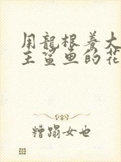 用龙根养大的公主鲨鱼的花