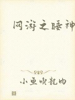 网游之睡神传说