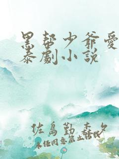 黑帮少爷爱上我泰剧小说