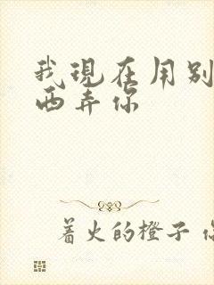 我现在用别的东西弄你