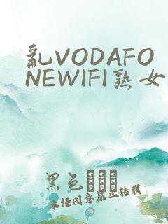乱VODAFONEWIFI熟女
