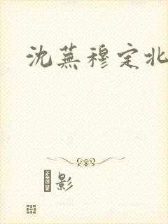 沈芜穆定北小说