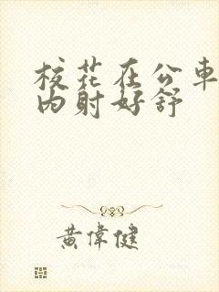 校花在公车上被内射好舒