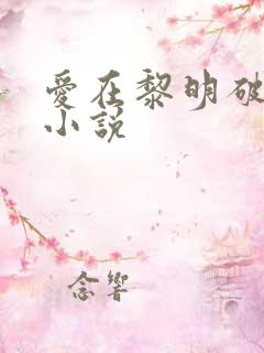 爱在黎明破晓前小说