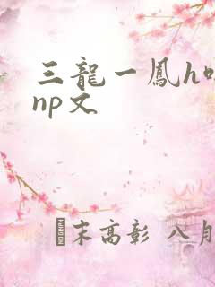 三龙一凤h啪肉np文