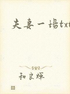 夫妻一场txt