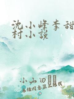 沈小峰李甜的乡村小说