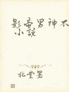 影帝男神不节制 小说