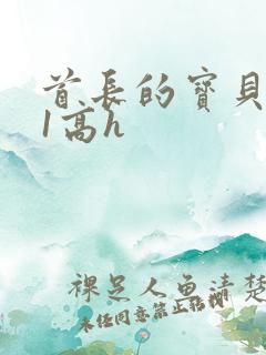 首长的宝贝1v1高h