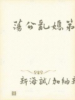 荡公乱媳第一章