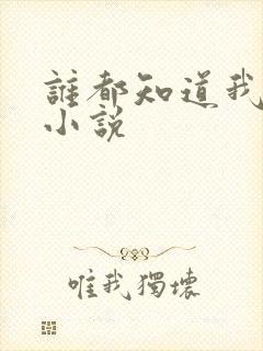 谁都知道我爱你小说