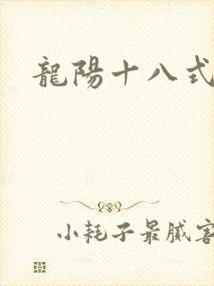 龙阳十八式
