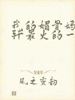 我的媚骨妈妈林轩最火的一句