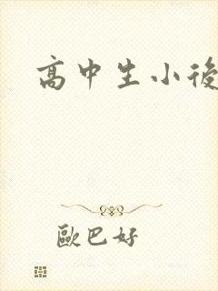高中生小后妈