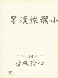 星汉灿烂小说