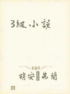 3级小说