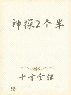 神探2个半