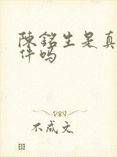 陈铭生是真实事件吗