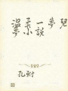 温柔一梦儿媳林梦小说