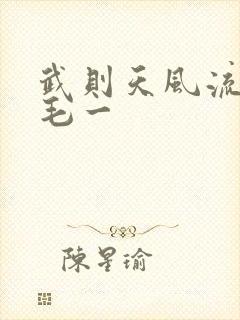 武则天风流艳情毛一