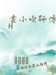丛小吃师傅的HH