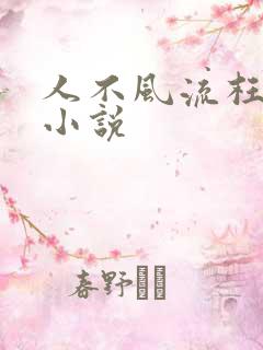 人不风流枉少年小说