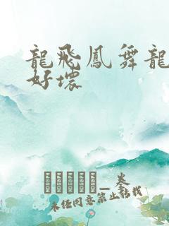 龙飞凤舞龙王你好坏