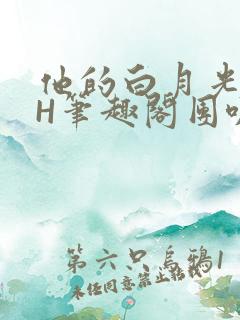 他的白月光HvH笔趣阁团叽叽