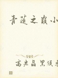 青莲之巅小说