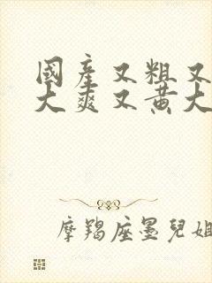 国产又粗又猛又大爽又黄大爷