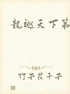 龙巡天下第四部