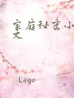 家庭秘密小说全文