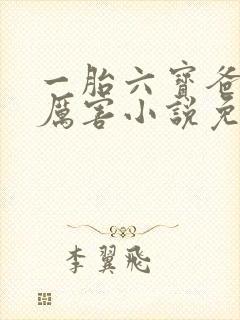 一胎六宝爸比好厉害小说免费阅读