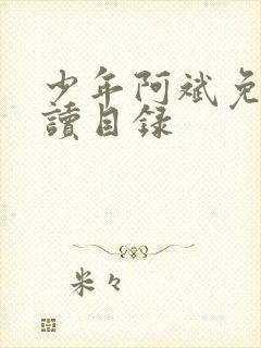 少年阿斌免费阅读目录