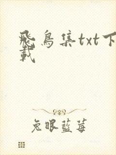 飞鸟集txt下载