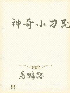 神奇小刁民