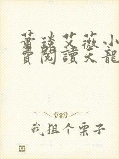 萧琰艾薇小说免费阅读天龙殿