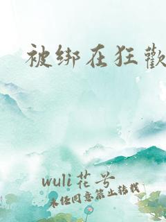 被绑在狂欢之椅