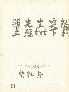 薄先生突然黏她上瘾txt下载