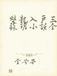 双龙入户三人行苏玥小说全文阅读