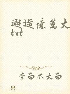 邂逅亿万大人物txt