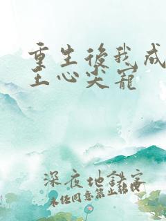 重生后我成了傻王心尖宠