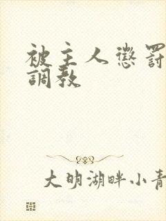 被主人惩罚玩弄调教