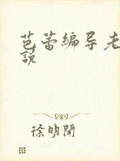 芭蕾编导老师小说