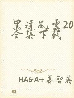 黑道风云20年全集下载