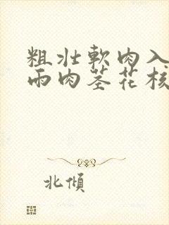 粗壮软肉入户云雨肉茎花核