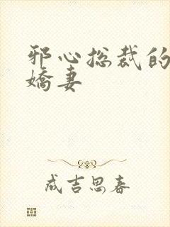 邪心总裁的纯情娇妻