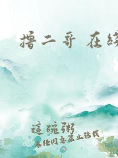 撸二哥 在线