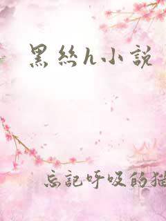 黑丝h小说